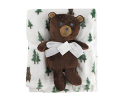 Blanket and Teddy Bear