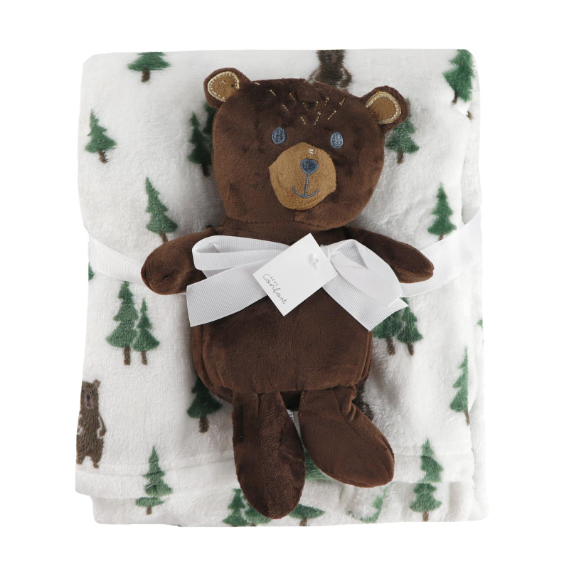 Blanket and Teddy Bear