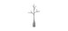 Gray Drainer Tree