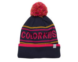 Color Kids Tuque Logo Color...