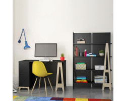 Atypik Desk and Bookcase...