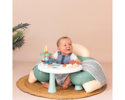 3 in 1 Activity Seat