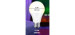 Bestcost.ca Ampoule LED Intelligente Smart Wi-Fi A19/E26 9W 800LM 2700K - NEUF