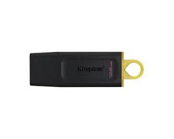 Kingston Clé USB 128GB DTX/128GB USB 3.2 Kingston DataTraveler EXODIA