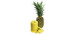  Ananas décortiqué