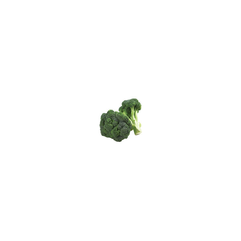  Brocoli