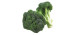  Brocoli