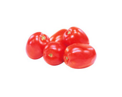  Tomate italienne roma