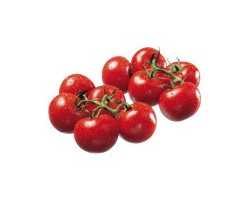  Tomates rouges sur vigne