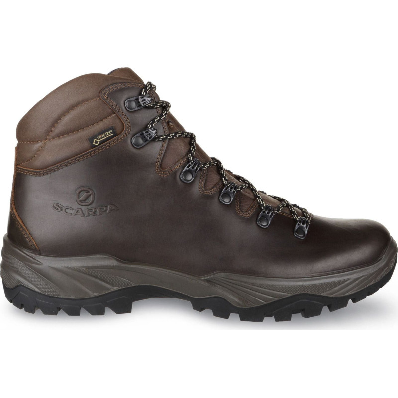 Terra GTX Hiking Boots - Men's