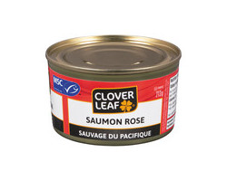 Clover Leaf Saumon rose