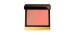 Shade & Illuminate Blush Duo