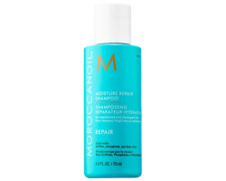 Moisturizing repair mini shampoo