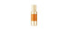 Regenerating mini serum with ginseng concentrate