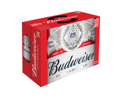 Budweiser Bière blonde en canette - 5% alcool