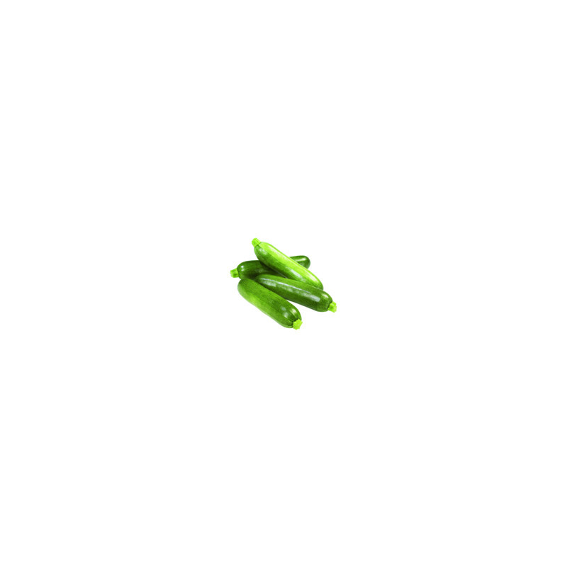  Courge zucchini