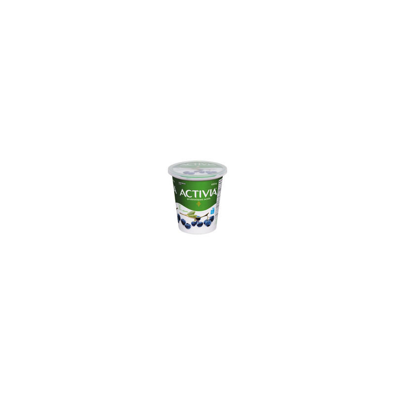 Danone Activia Yogourt aux bleuets 2.9% m.g.