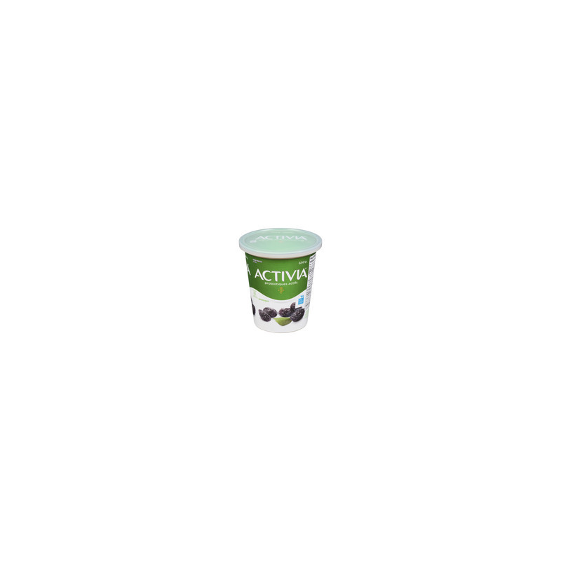 Danone Activia Yogourt aux pruneaux 2.9% m.g.