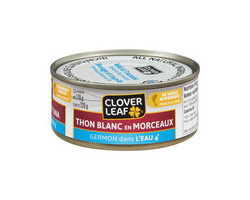 Clover Leaf Thon blanc en morceaux dans l'eau