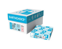 Domtar Papier couverture à usage multiples EarthChoice® Bristol