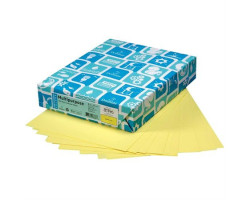 Domtar Papier de couleur à usages multiples Lettermak®