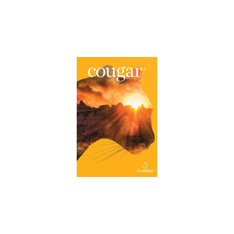 Domtar Papier couverture Cougar SuperSmooth