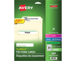 Avery Étiquettes de classement TrueBlock™