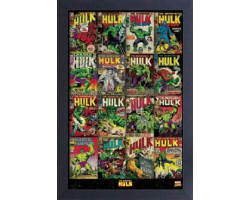 Hulk -  image encadrée covers (33 cm x 48 cm)