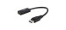 Bestcost.ca DisplayPort à HDMI Adapter Câble - Noir