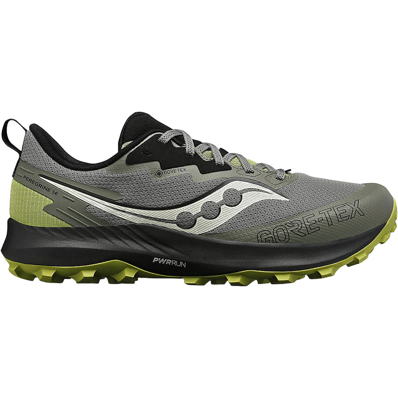 Peregrine 14 GTX Shoes - Men's