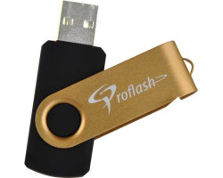 Proflash Clé USB à mémoire flash FlipFlash