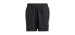 Terrex Multi Shorts - Men's