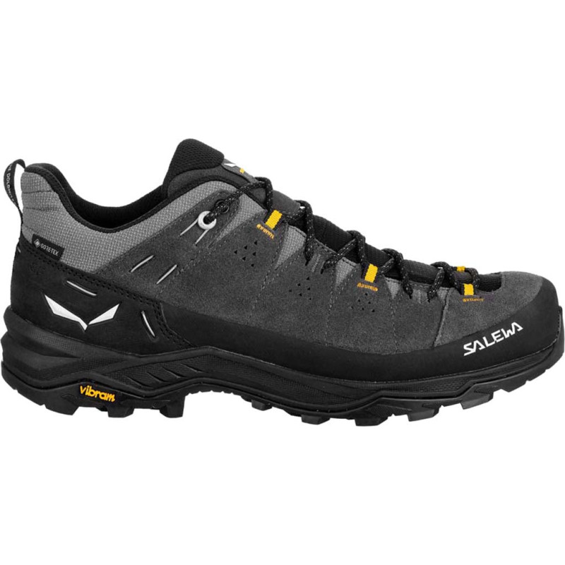 GORE-TEX Alp Trainer 2 Shoes - Men's