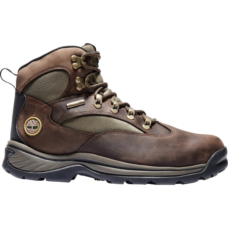 Chocorua Trail Mid Waterproof Hiking Boots - Men's