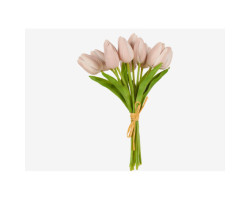 Bouquet de tulipes Berdine