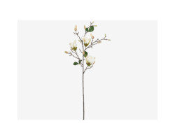 Branche de magnolias Keery ivoire