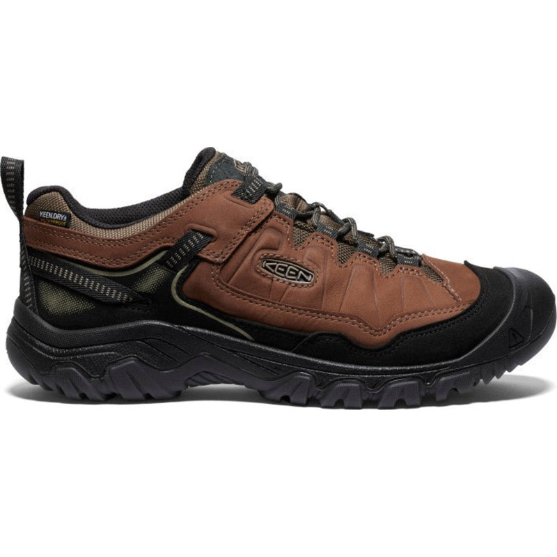 Targhee IV Waterproof Hiking Shoes - Men's