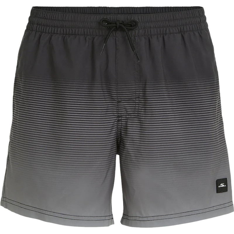 Cali Gradient Volley 15'' swim shorts - Men's