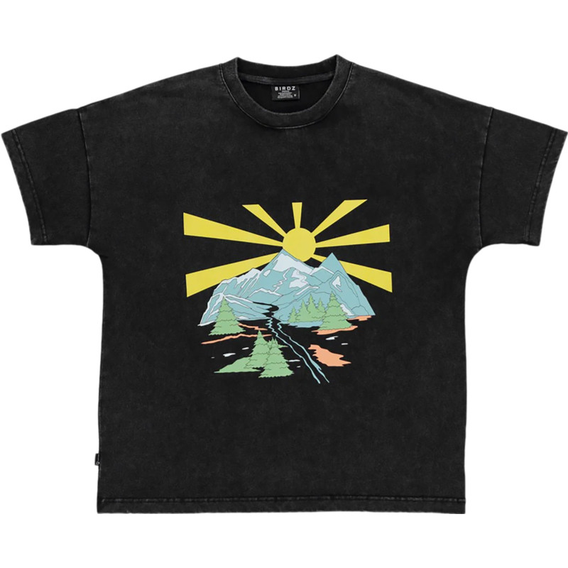 Birdz T-shirt montagne - Garçon