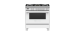 36” Gas Range. Fisher and Paykel 4.9 cu. ft. with 5 burners in White OR36SCG6W1