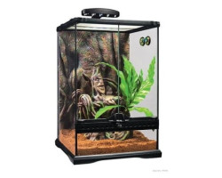 Petit terrarium équipé pour Gecko à crête – Exo Terra