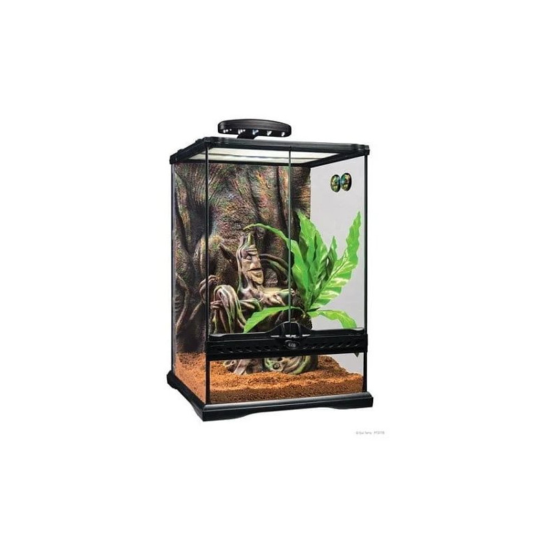 Petit terrarium équipé pour Gecko à crête – Exo Terra