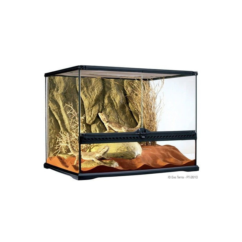 Terrarium en verre, moyen, large, 60 x 45 x 45 cm (24 x 18 x 18 po) – Exo Terra
