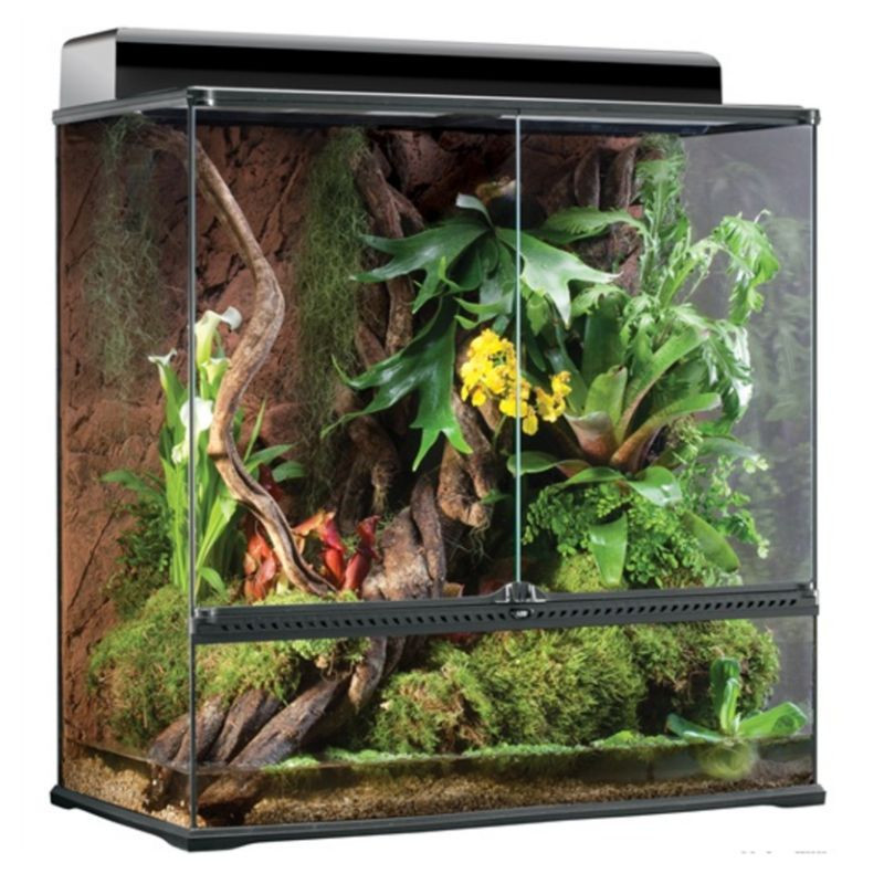 Terrarium en verre Exo Terra, grand, très haut (36 x 18 x 36 po)