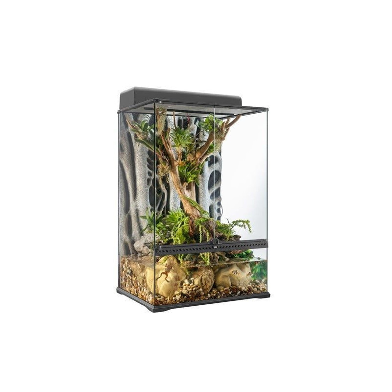 Terrarium de forêt tropicale et paludarium de pointe Exo Terra, moyen, très haut, 60 x 45 x 90 cm