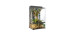 Terrarium de forêt tropicale et paludarium de pointe Exo Terra, moyen, très haut, 60 x 45 x 90 cm
