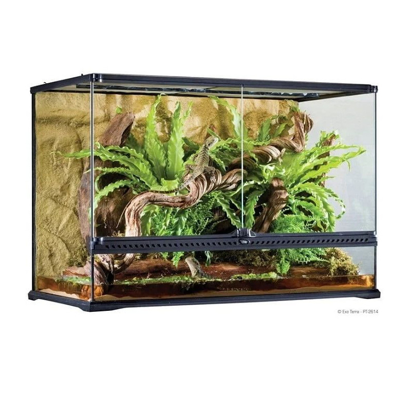 Terrarium en verre, grand, haut, 90 x 45 x 60 cm – Exo Terra