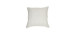 Coussin simplet