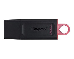 Kingston Clé USB 256GB DTX/256GB USB 3.2 Kingston DataTraveler EXODIA