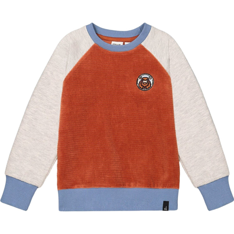 Colorblocked Raglan Velvet Ribbed Fleece Sweater - Little Boy